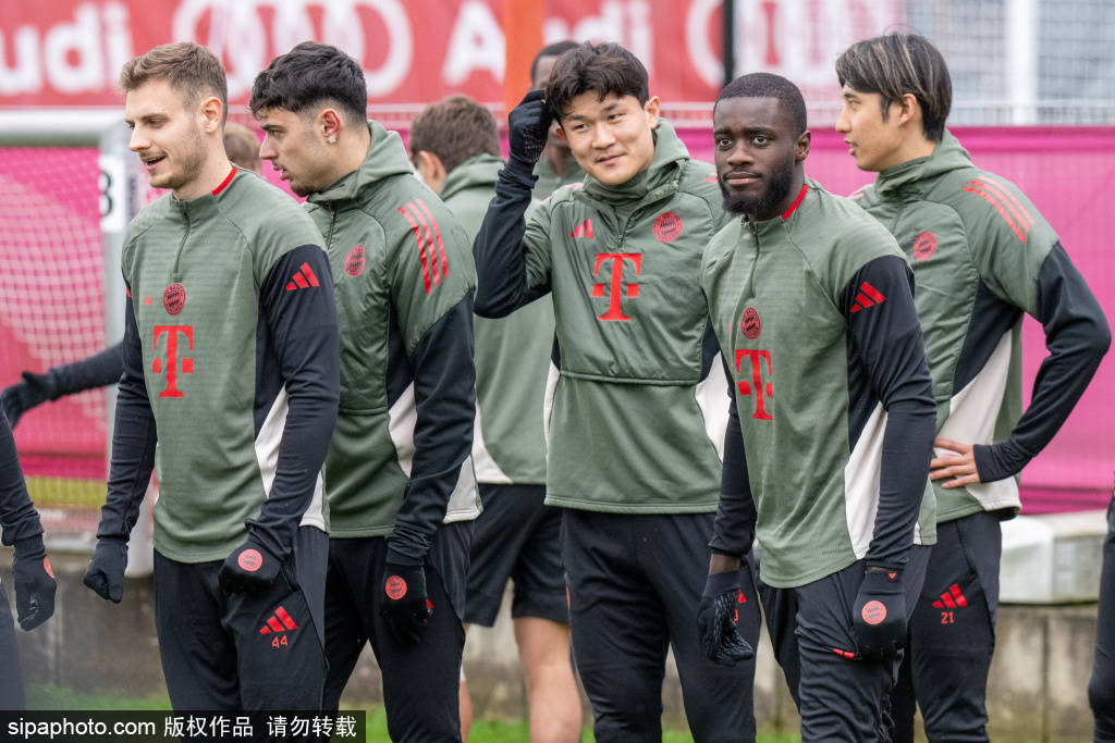 凯恩受伤疑云：拜仁慕尼黑在欧冠关键时刻的隐患与应对策略